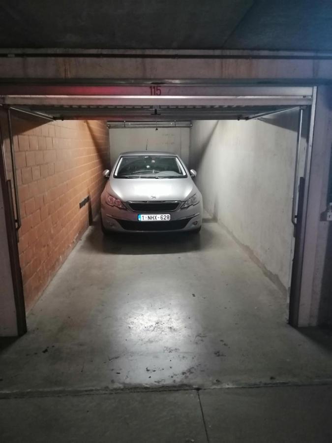 Marjolaine Zeezicht - Nieuwpoort-Bad Met Gratis Garagebox公寓 外观 照片
